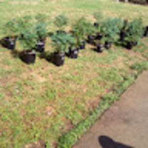 Meet your Posher, Travis